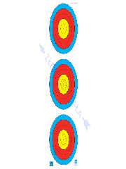 Tarcza Papierowa WA Recurve JVD do łuku klasycznego 3x20cm Pion HALA 18m wzmacniana